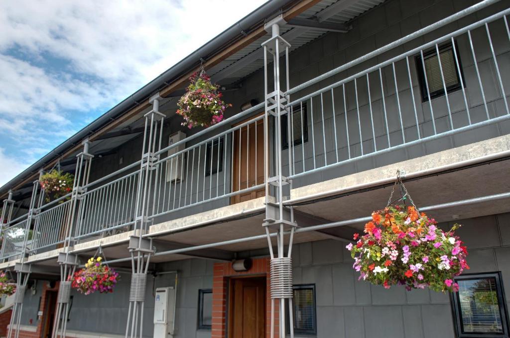 Country Glen Lodge Christchurch Eksteriør billede