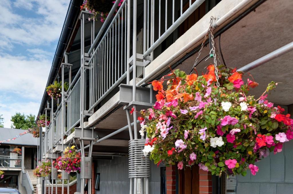 Country Glen Lodge Christchurch Eksteriør billede